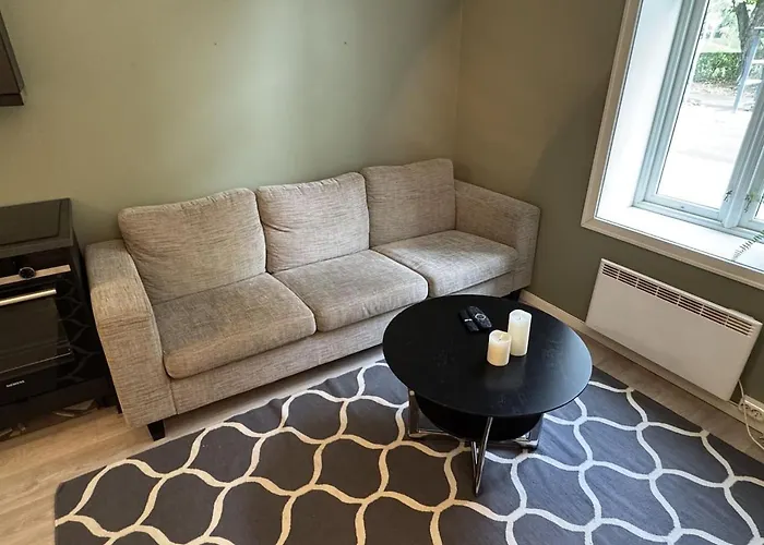 Perfect アパート トロンハイム