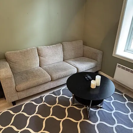 Perfect Apartamento Trondheim